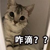 用户544034039937头像