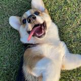 蓝魔影视集中营头像