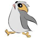 Jacobi的个人资料头像