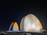 有思考的猪的个人资料头像