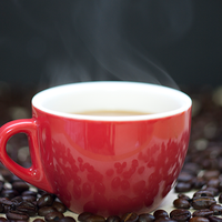 温柔阿尔文3M8头像