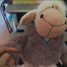 Lanmaq的个人资料头像