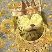 义乂义乂义乂的个人资料头像