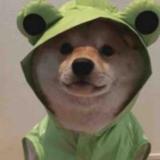 大板牙10头像