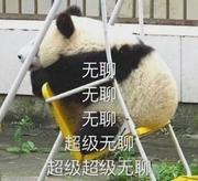 yupipih123的个人资料头像