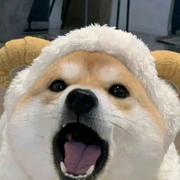 多金的旺财的个人资料头像