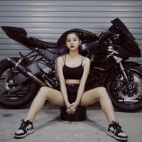 白龙骑士杨过头像