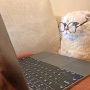 沈biouu的个人资料头像