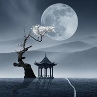 诗意星球T9E头像