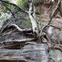 用户445687313754头像