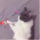 用户2999123453679870的个人资料头像