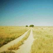 im琛的个人资料头像