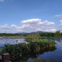 东北人老张头头像