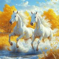 鑫鑫分享知识头像