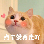 马岱敲代码的个人资料头像