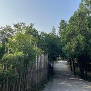 Dragon738的个人资料头像