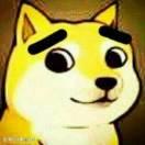 顺风顺水就是我的个人资料头像