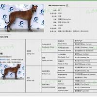 狙击手犬业俱乐部头像