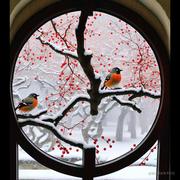 aaaaeeen的个人资料头像