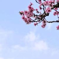 和得转276335606头像