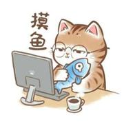 摸鱼的老谭的个人资料头像