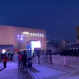 诗意天空c8l头像