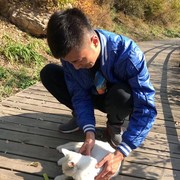 斌哥BING的个人资料头像