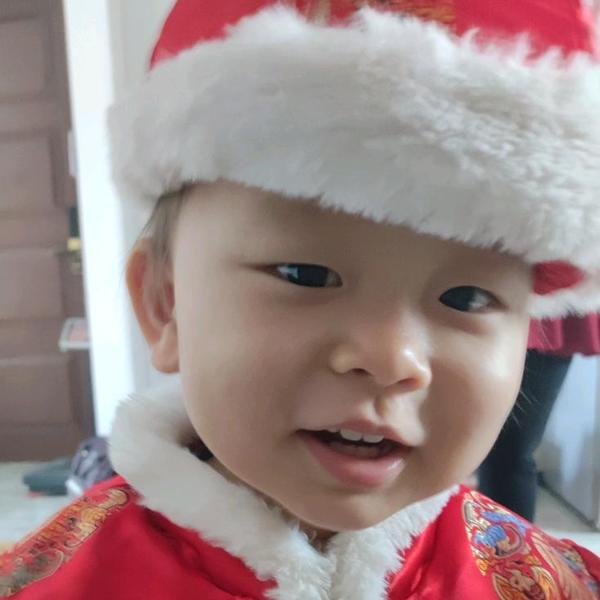 泰迪熊杰克头像