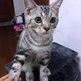 小兔子962464头像