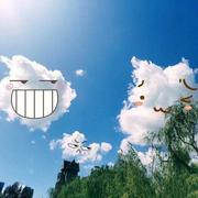 机智的加贺的个人资料头像