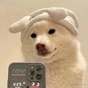 Hl的个人资料头像