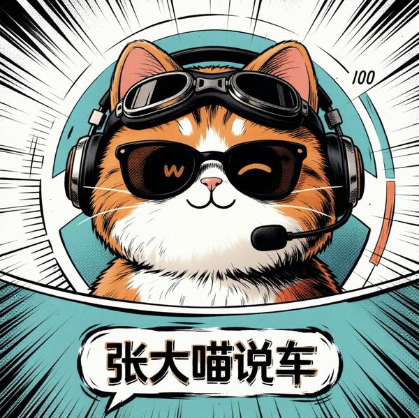 张大喵说车头像