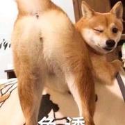 非零229的个人资料头像