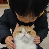 用户5780252347954头像