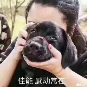 坤虫Tu头像