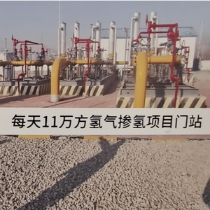 有啥看啥头像