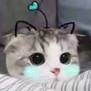 慧慕的个人资料头像