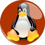 玩转Linux内核的个人资料头像