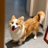 丰台华仔头像