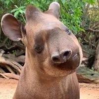 丿Mars丶丨坏妞935头像