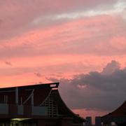 川页的个人资料头像