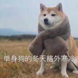 今晚不熬夜了27头像