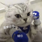 云上V2的个人资料头像