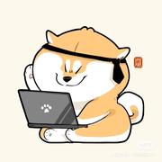 前端小学生ccm的个人资料头像