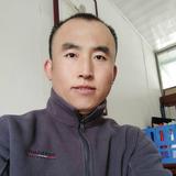 杨旭辉二手车收售业务1596980558头像