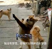 红橙黄绿蓝靛紫的个人资料头像