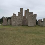 王晓鹏的个人资料头像