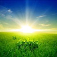 元气叶子Gg头像