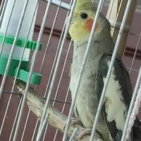 游中国看世界666头像