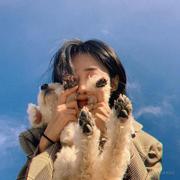 Savin的个人资料头像